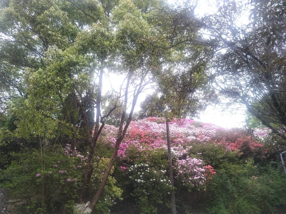 德新街 一實小  95㎡   3房2廳  中裝，證全   65萬元  看房：13506919091