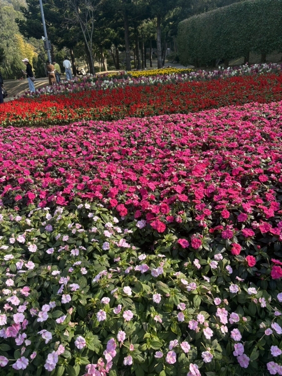 丽景湾二期，好楼层93平方，毛坯三房69万急售