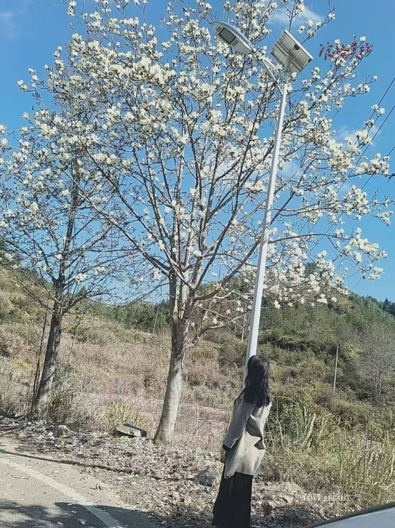 城东鑫泓顺  毛坯4房2厅  97 13平方 售60几万 过户便宜 全明
