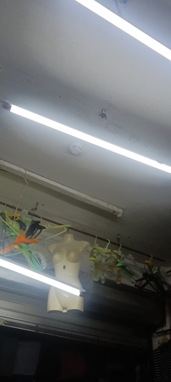 湖中街  20㎡ 480元/月