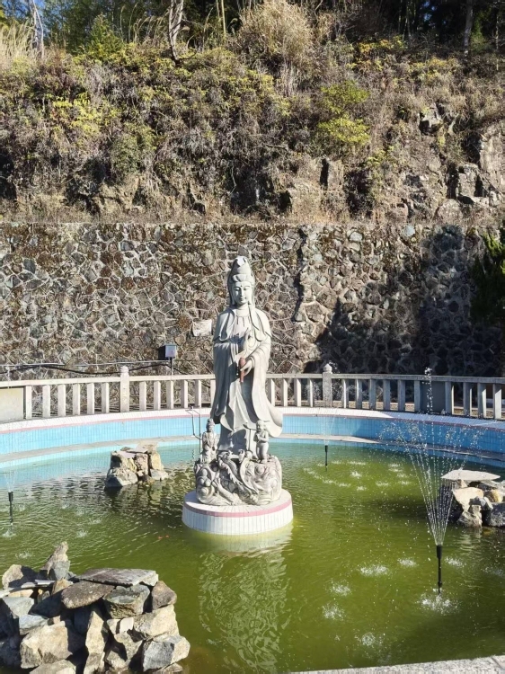宝泰花苑  90㎡   2房2厅  毛坯房  一平方5500万元