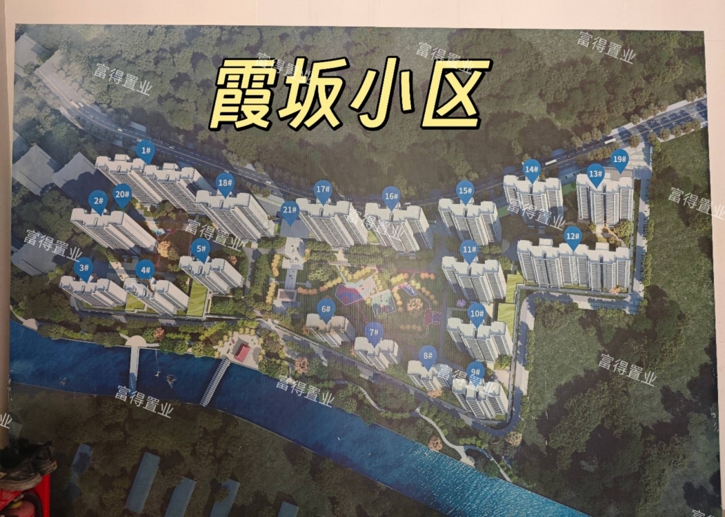 霞坂小区  单身公寓43㎡ 价格面议