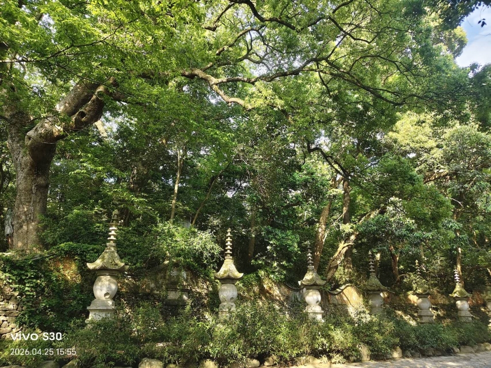 美伦云启上城A区 3房2厅    96平 每平米9000元   全安置 看房:15359608277 ​  96㎡ 87