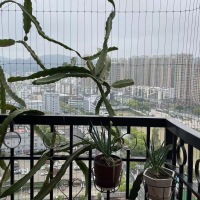 群盛翰林府邸 3室 80㎡ 2500元/月 精裝修