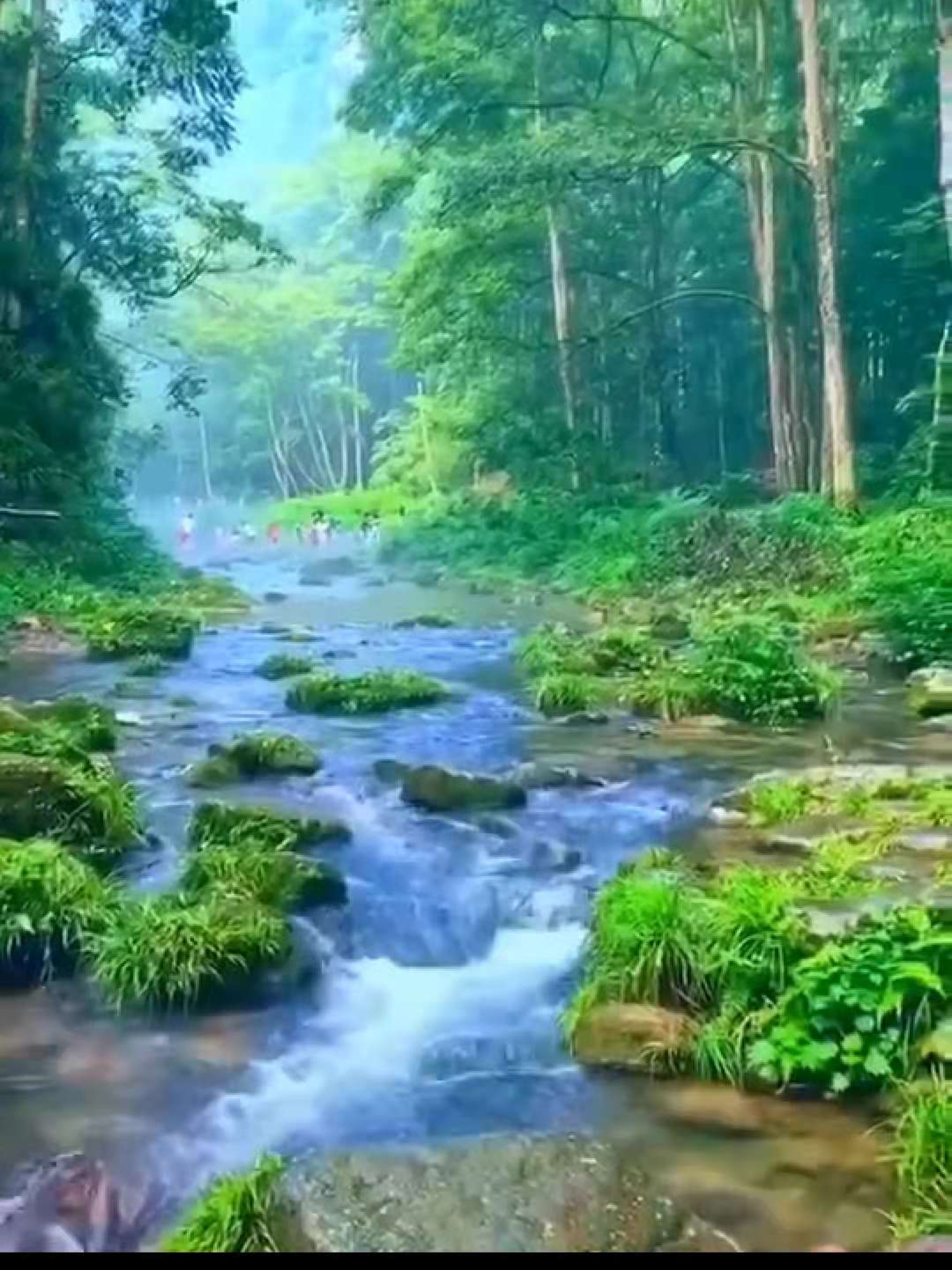 綠水青山