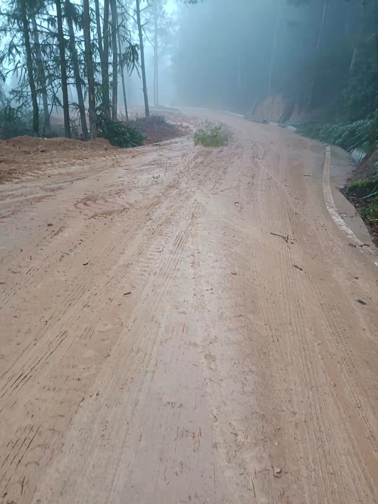 福陽村路況