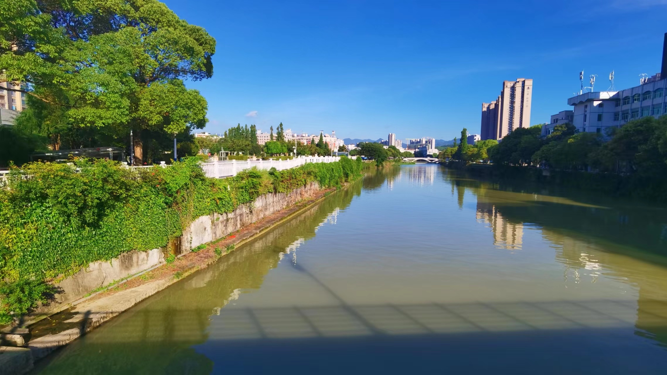 籃藍的天