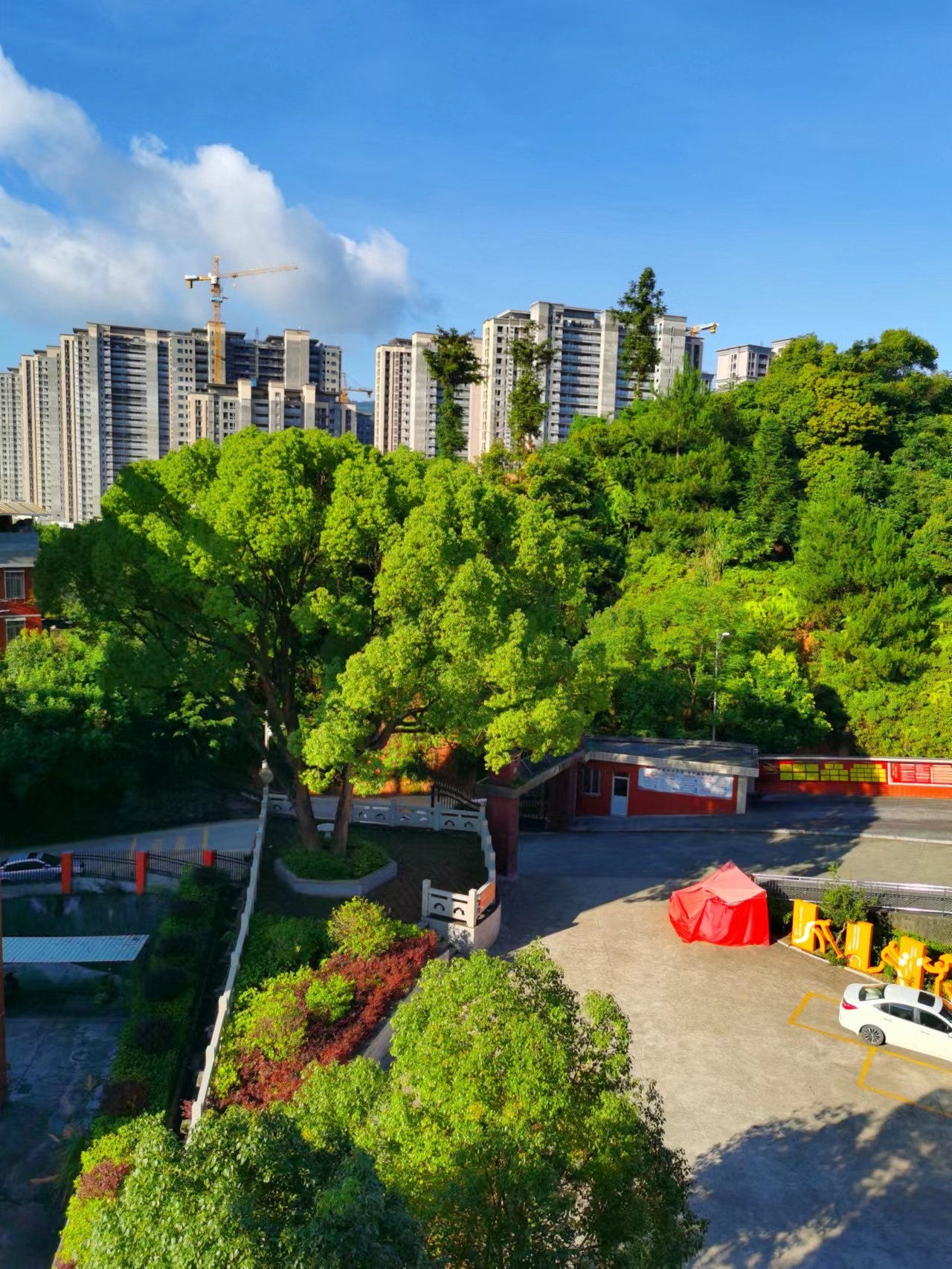 籃藍的天