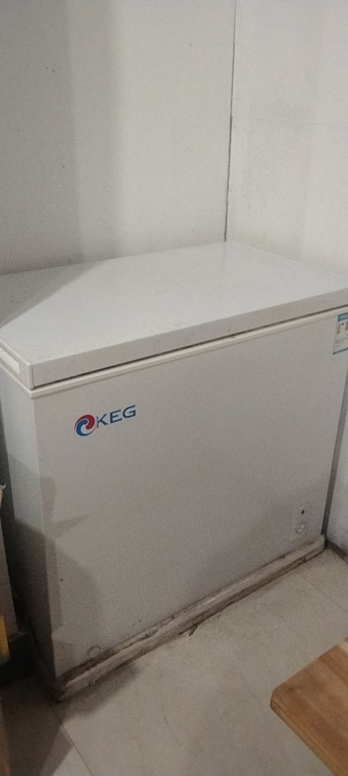 KEG韓電 冰柜商用220升容量冷凍單溫銅管速凍冰柜