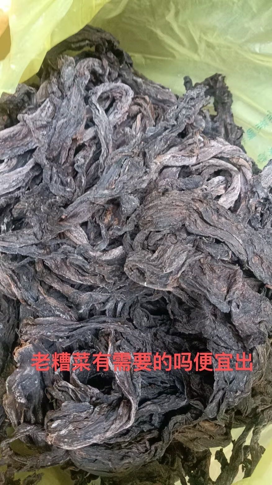老糟菜