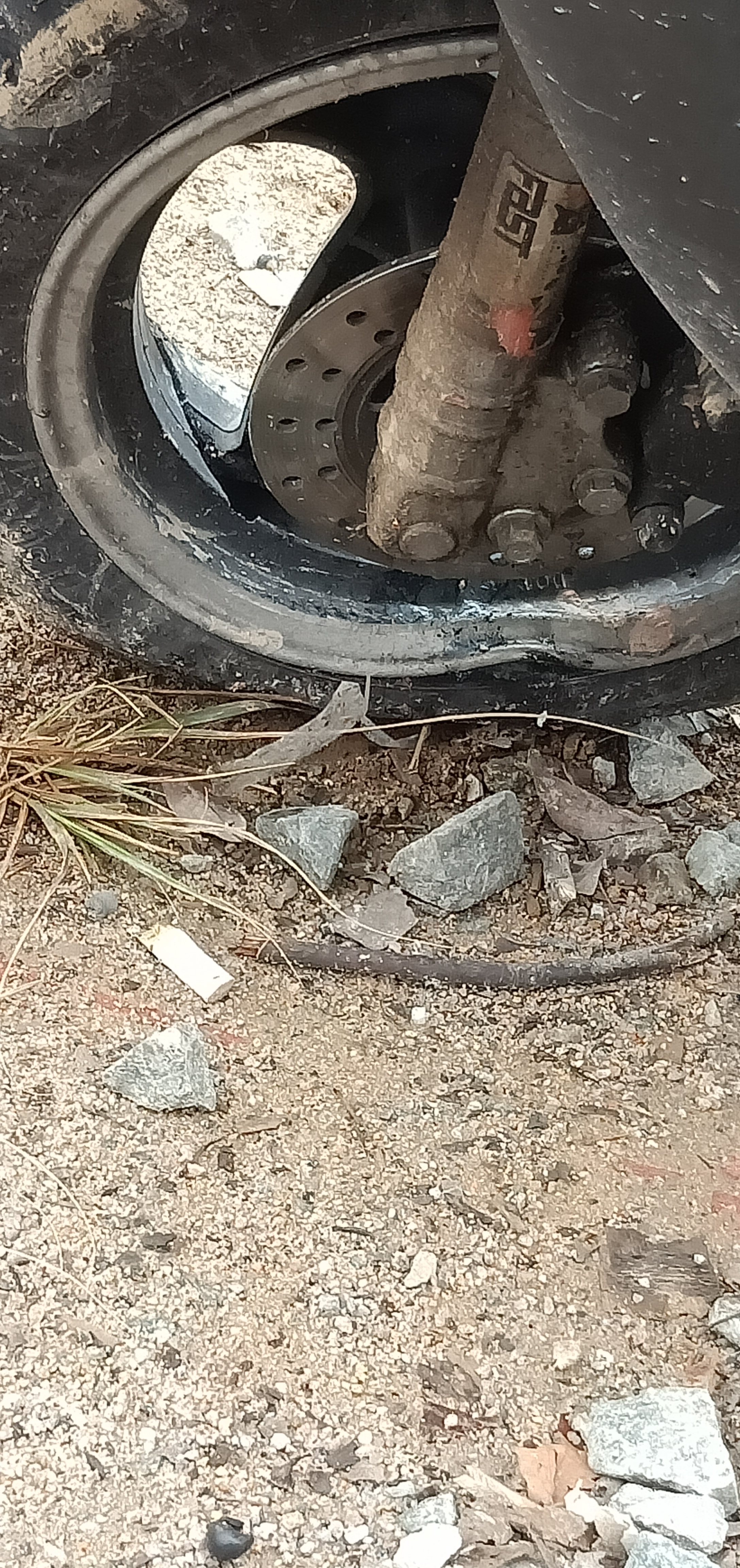 德化路政看過來